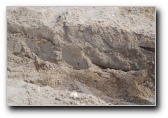 [Click to enlarge]